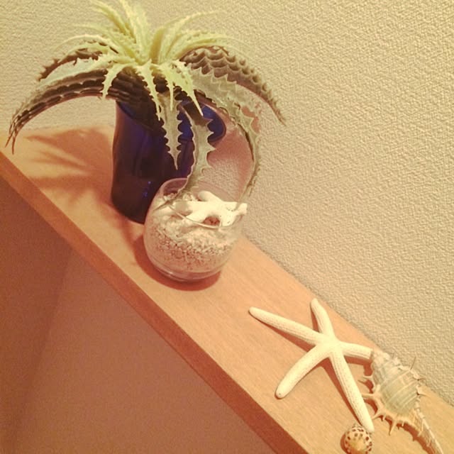 yocoさんの実例写真