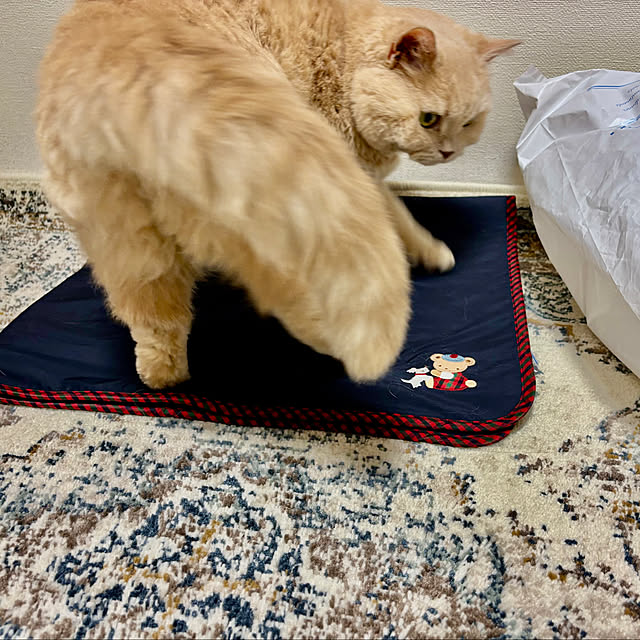 naokoさんの部屋