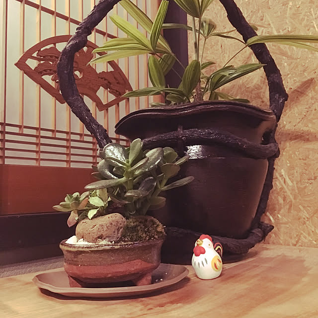 Y0206さんの実例写真