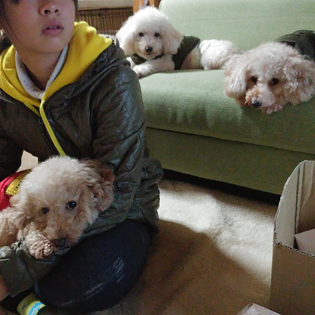 nontenrunさんの実例写真