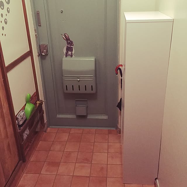 momoirousagiさんの実例写真