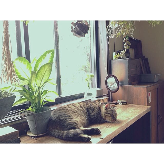 jnkaiさんの実例写真