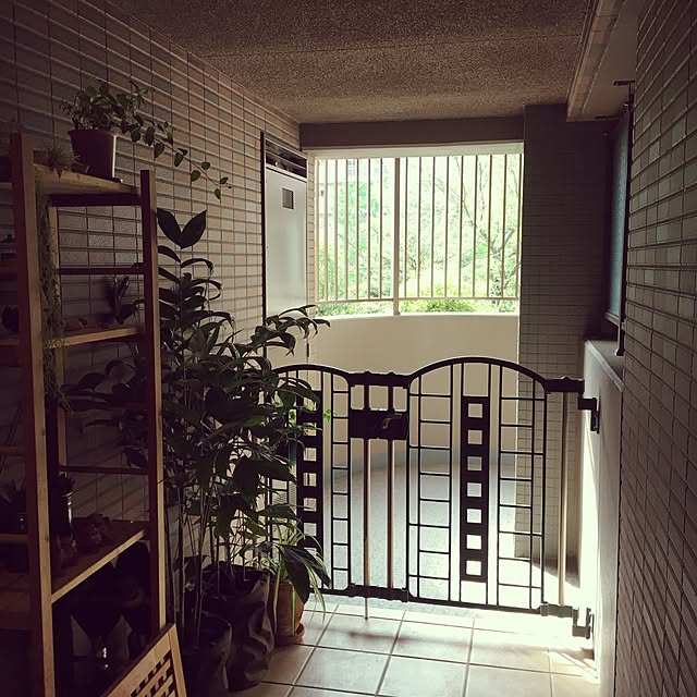 kan2さんの実例写真