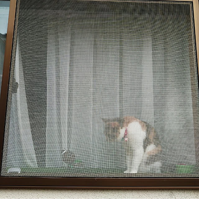 fukuさんの実例写真