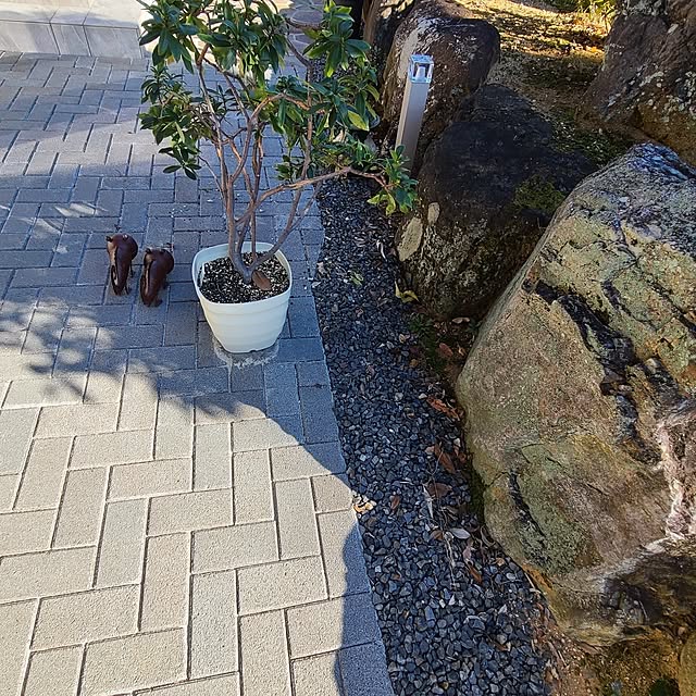Rubiconさんの部屋
