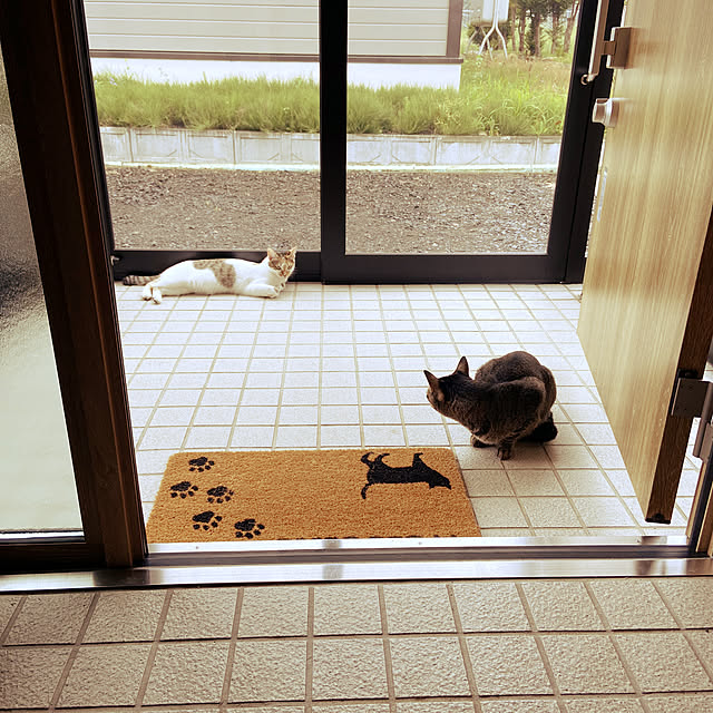 miwaさんの実例写真