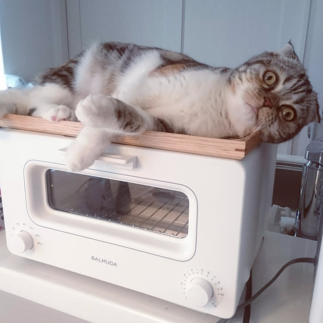 takiko0407さんの実例写真