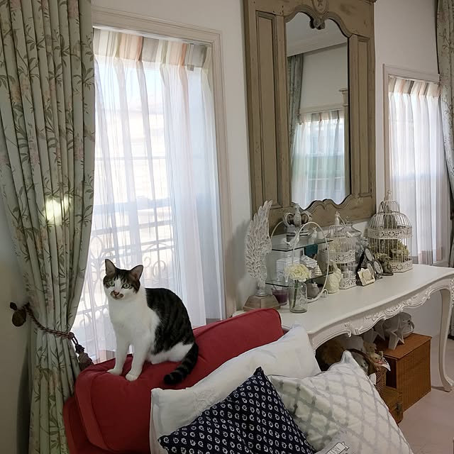yuchiさんの実例写真