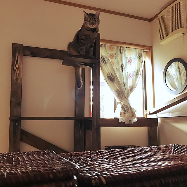 mikan161さんの実例写真