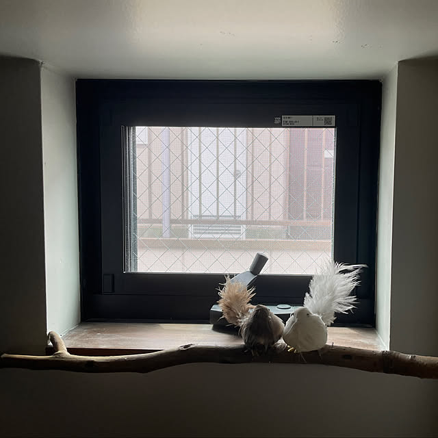 r_i_c_aさんの部屋