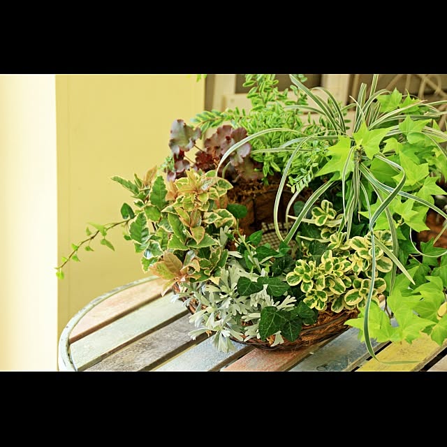 garden_life_saiさんの実例写真