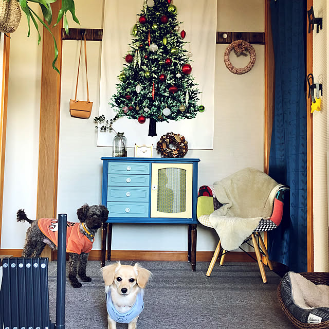 cloverさんの実例写真