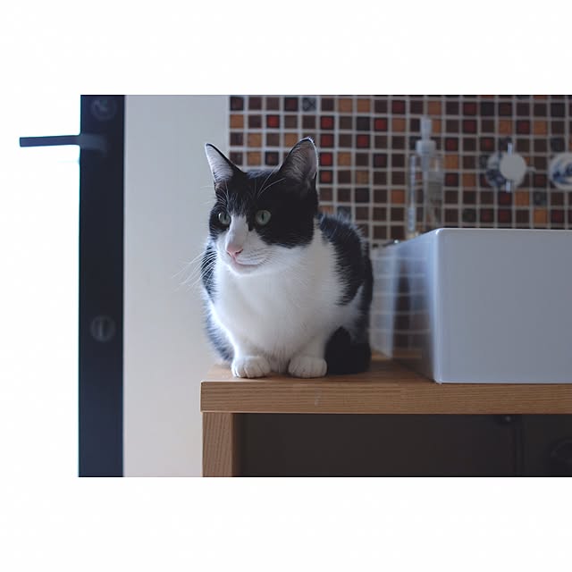 mitsuoomさんの実例写真