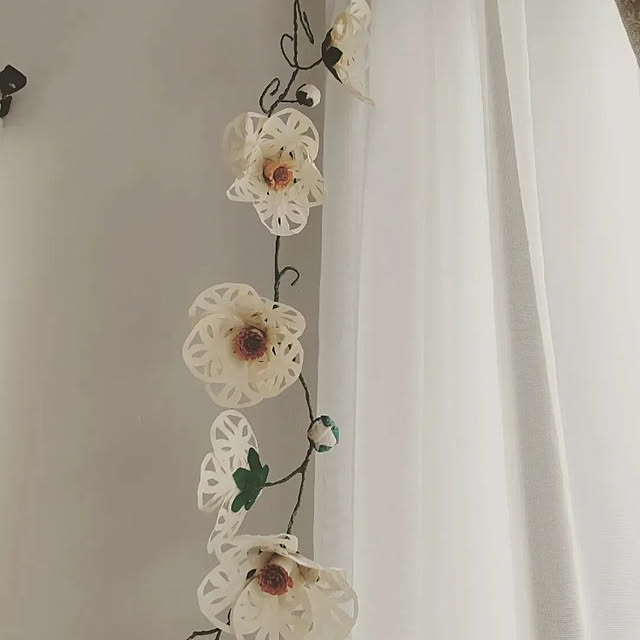yamaさんの実例写真