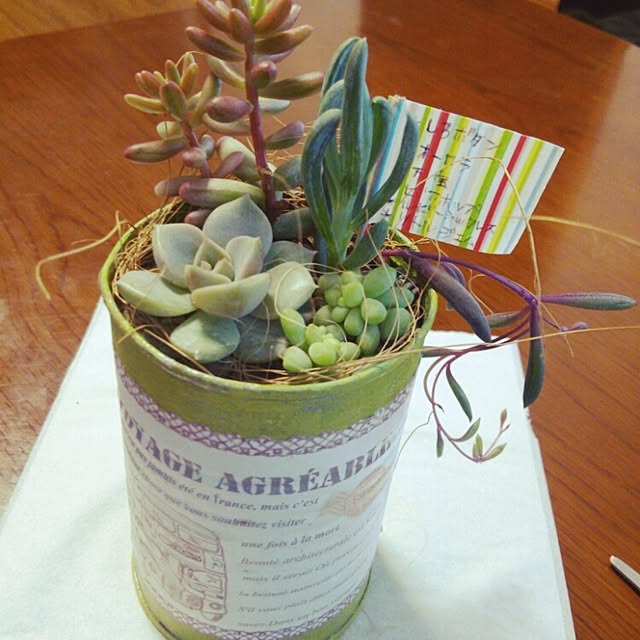 aiさんの実例写真