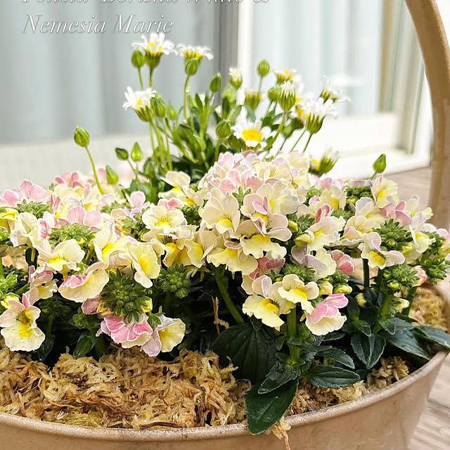 madeleineさんの部屋