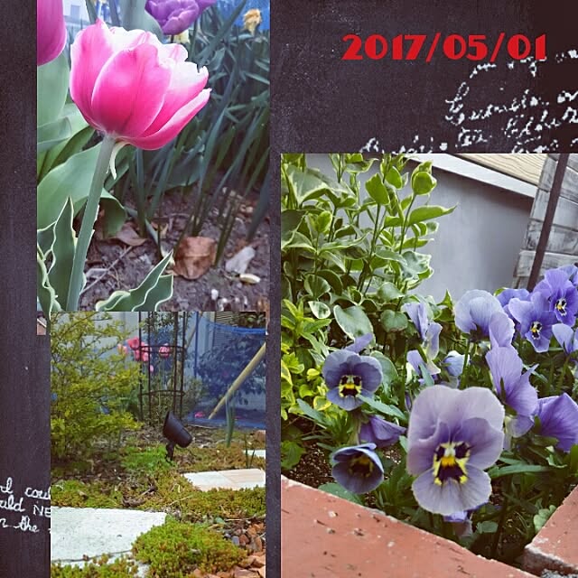 bousuke.215112さんの実例写真