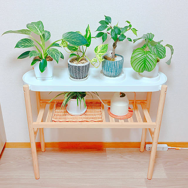 yuyuさんの部屋