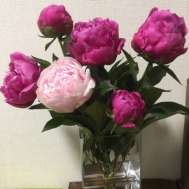 Ryokoさんの実例写真