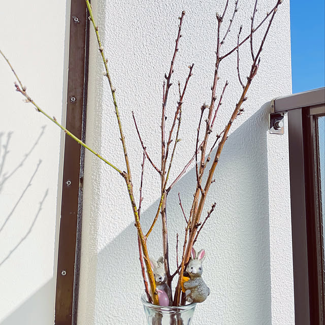 aureaさんの実例写真