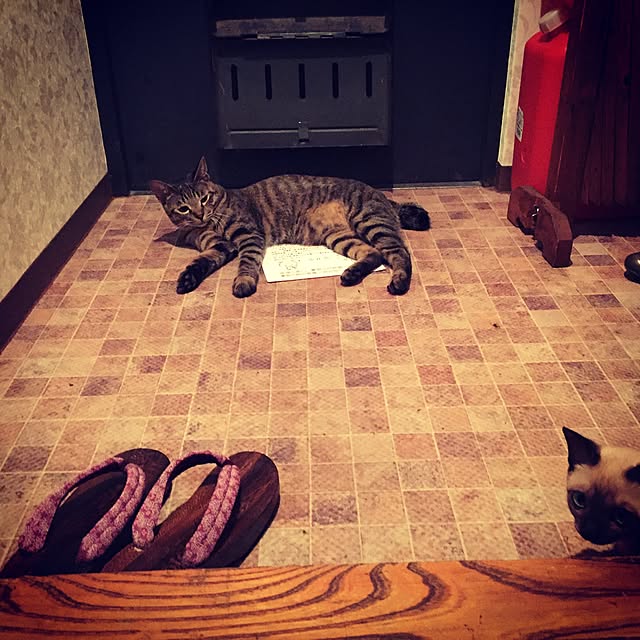 kayakoさんの実例写真