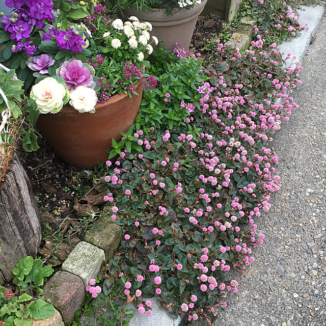 furu.さんの実例写真