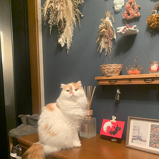 keiさんの部屋
