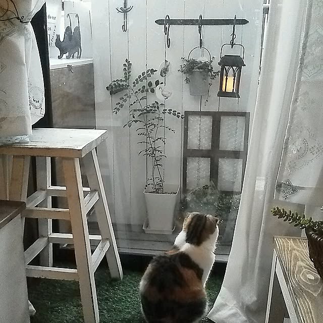 mikiさんの実例写真