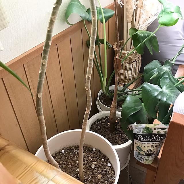 rikomiさんの部屋