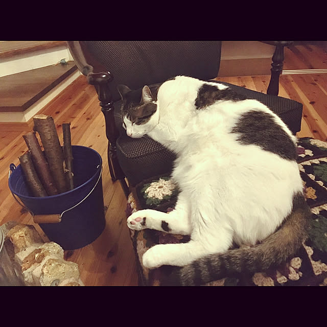 marusanさんの実例写真
