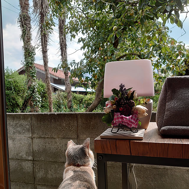 fukuさんの実例写真