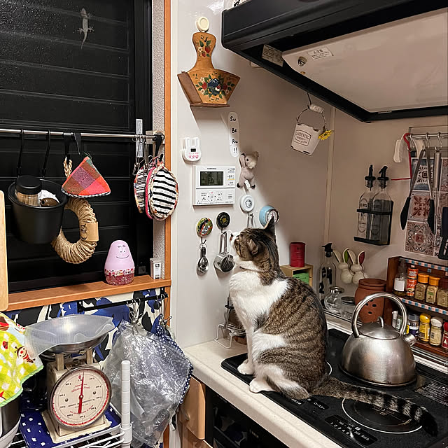 jijiさんの実例写真