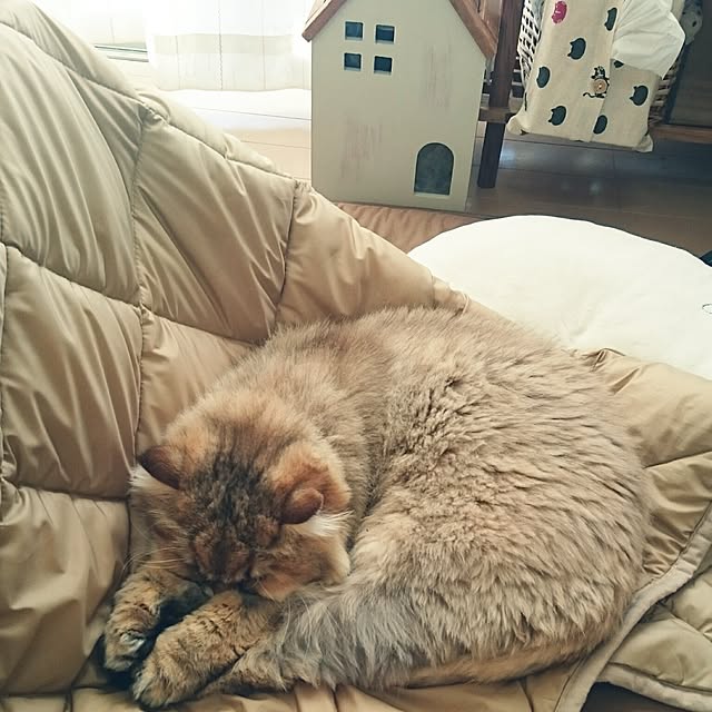 nanoさんの実例写真