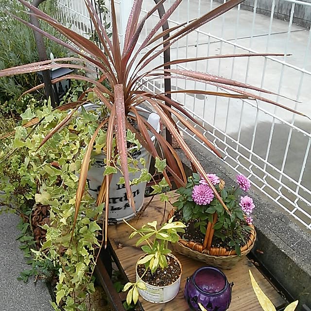 hirousaさんの実例写真