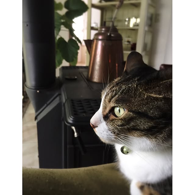 shio2772さんの実例写真