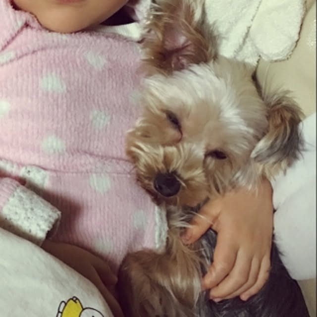 maiko.0610さんの実例写真