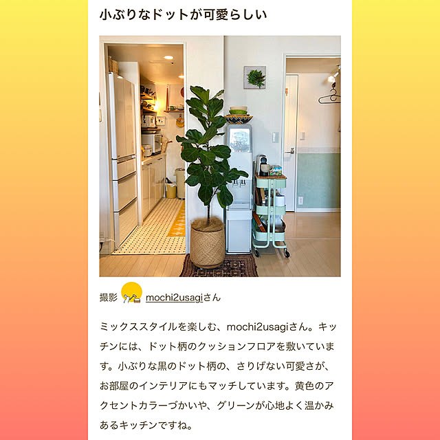 mochi2usagiさんの実例写真