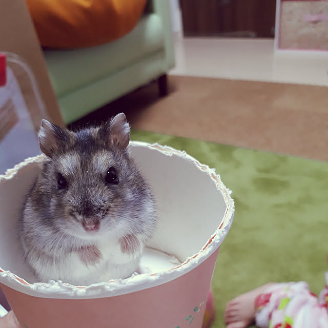 blueさんの実例写真