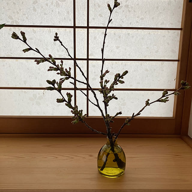 mamaさんの部屋
