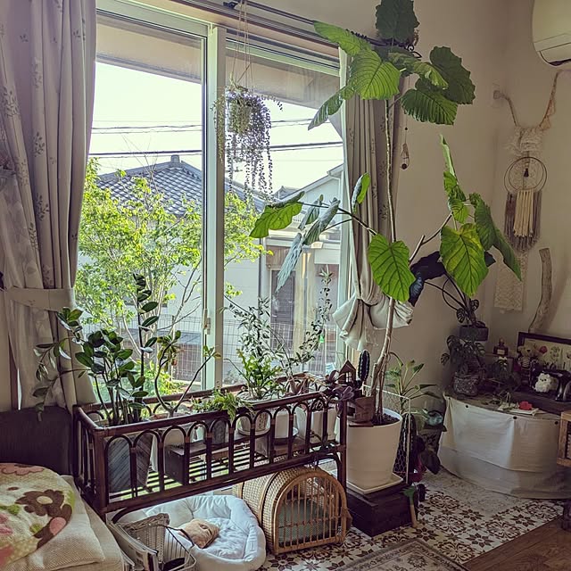 akiさんの部屋