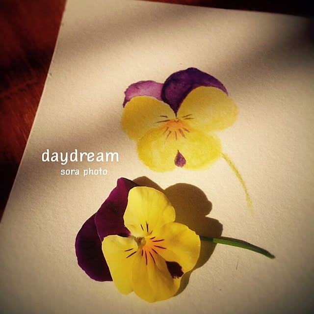 daydreamさんの実例写真
