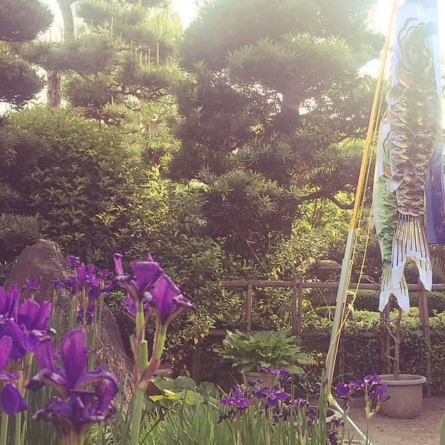 k.m.mamaさんの実例写真