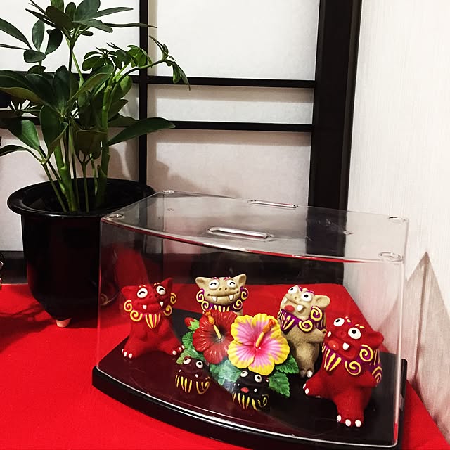 aninさんの実例写真