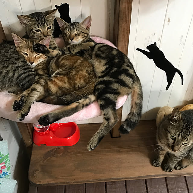 pepeさんの実例写真