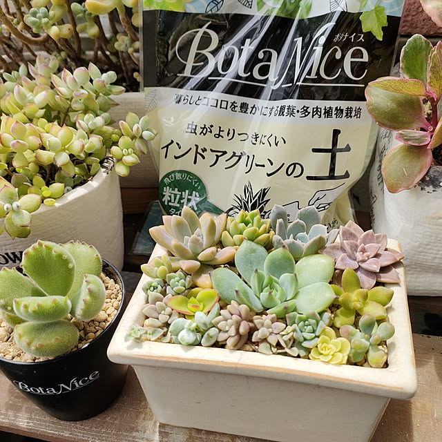 VERANDARJUNさんの実例写真