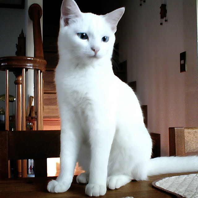 Ohigeさんの実例写真