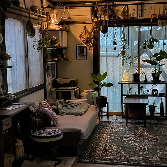 koyutan-mjmさんの部屋