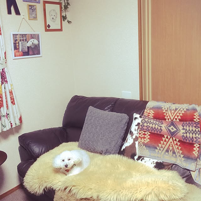 matanさんの実例写真