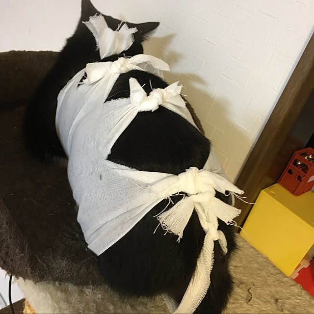nekoさんの実例写真
