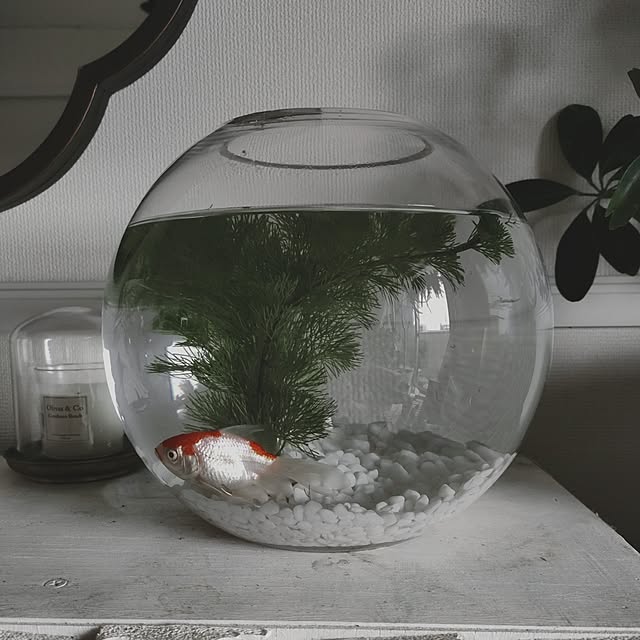 coco.Apartmanさんの実例写真